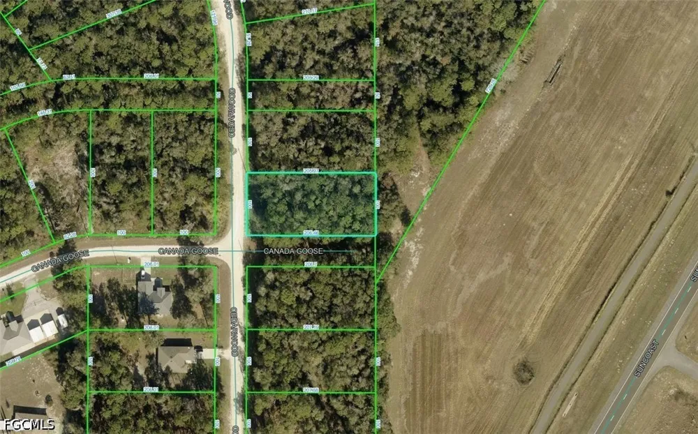 Cedarwood Avenue Weeki Wachee, FL 34614