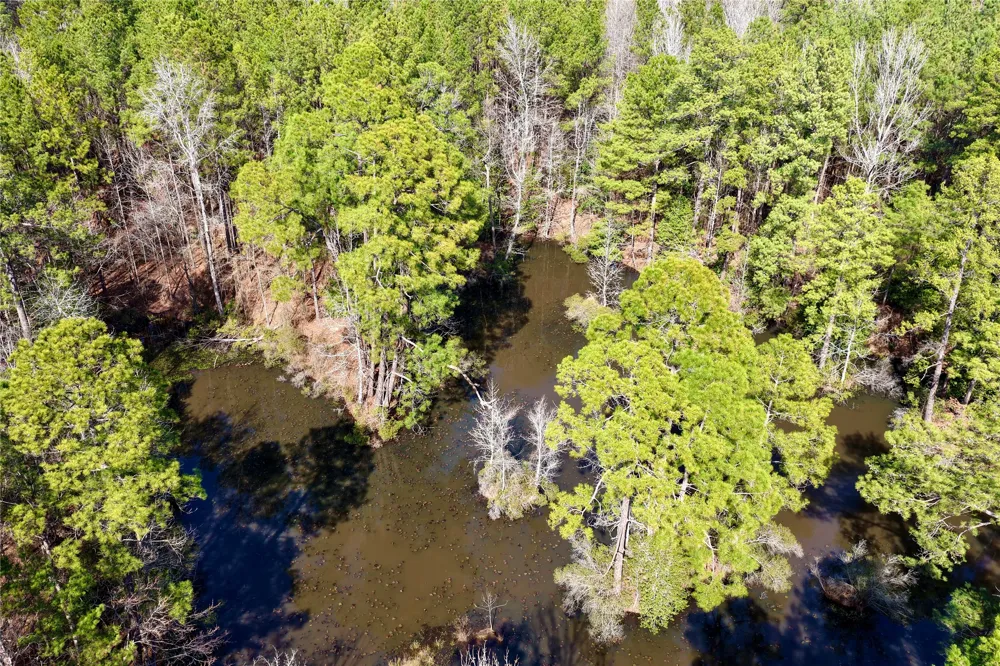Stateline Road Texarkana, TX 75501