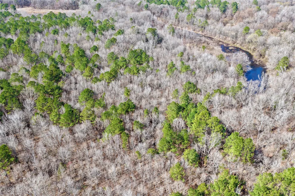 Stateline Road Texarkana, TX 75501