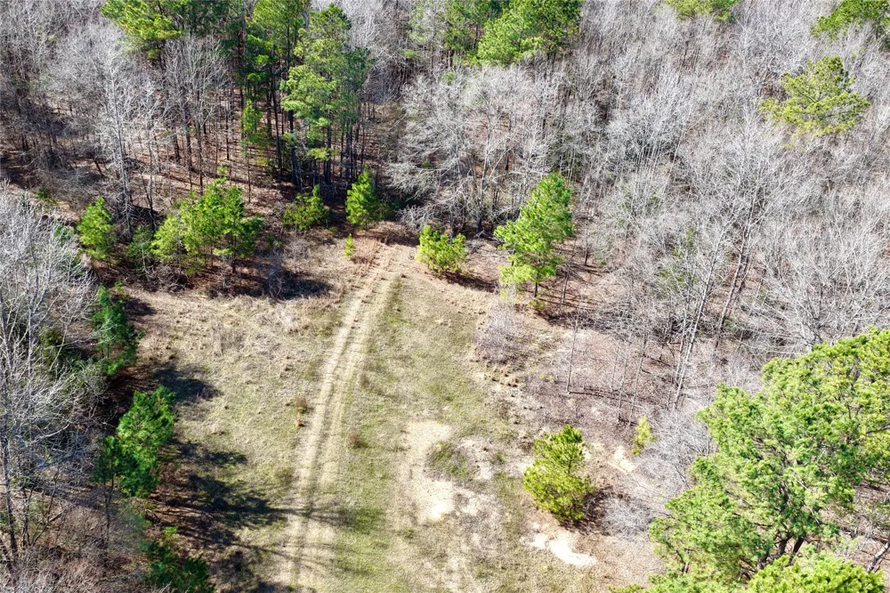Stateline Road Texarkana, TX 75501