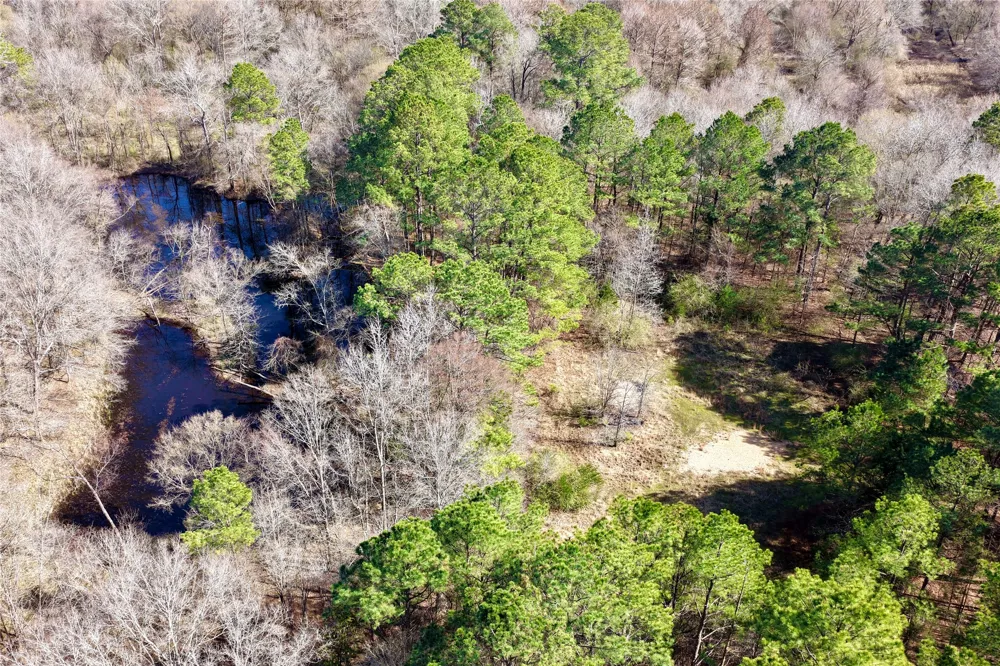 Stateline Road Texarkana, TX 75501