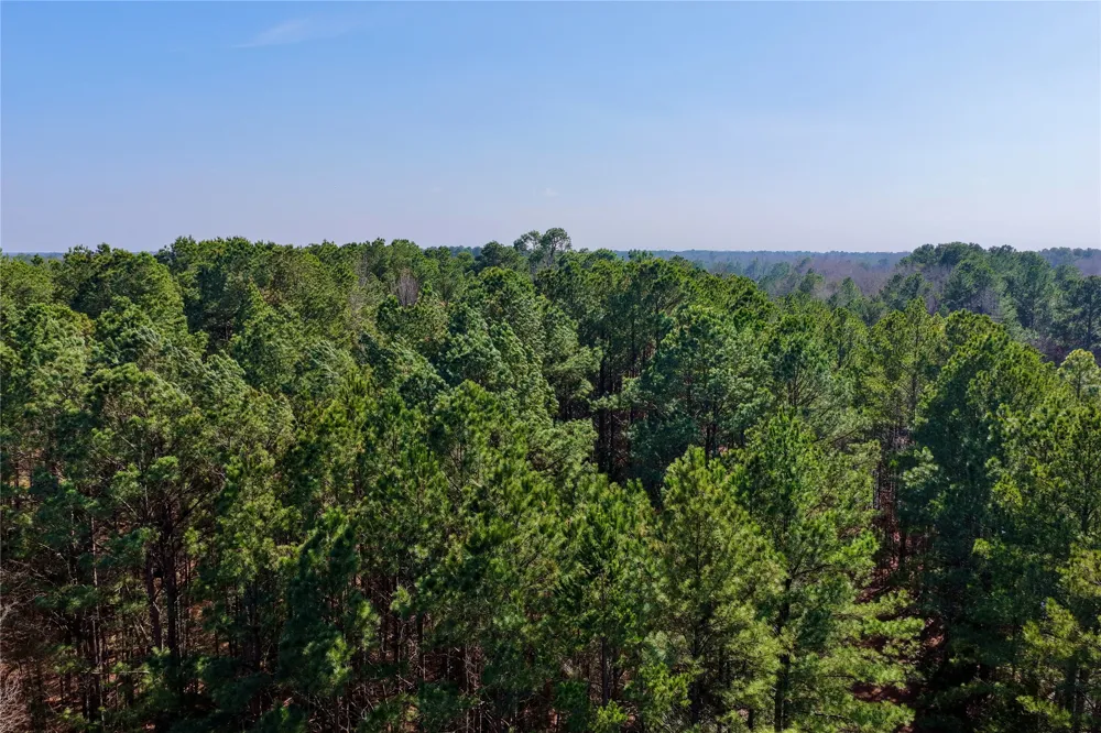 Stateline Road Texarkana, TX 75501
