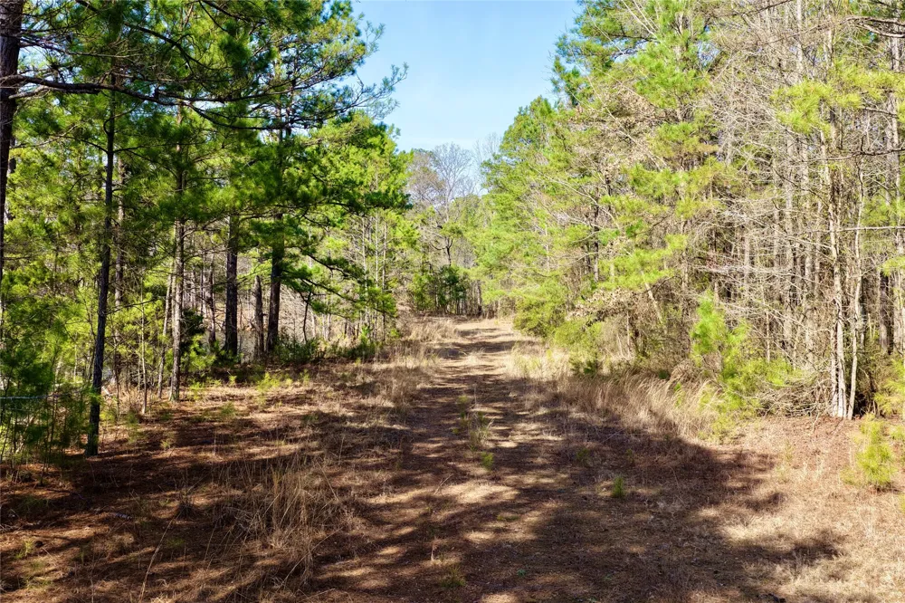 Stateline Road Texarkana, TX 75501