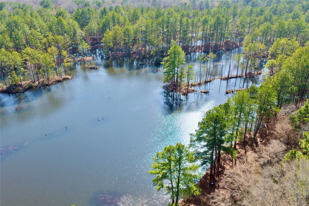 Stateline Road Texarkana, TX 75501