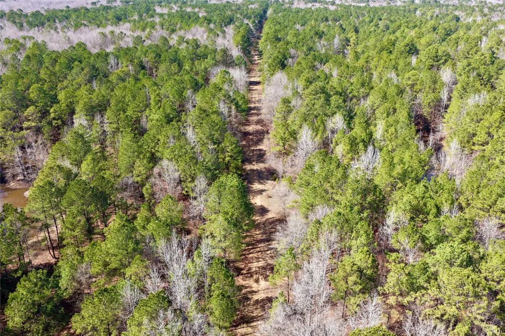 Stateline Road Texarkana, TX 75501