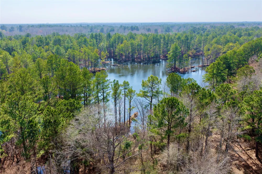 Stateline Road Texarkana, TX 75501