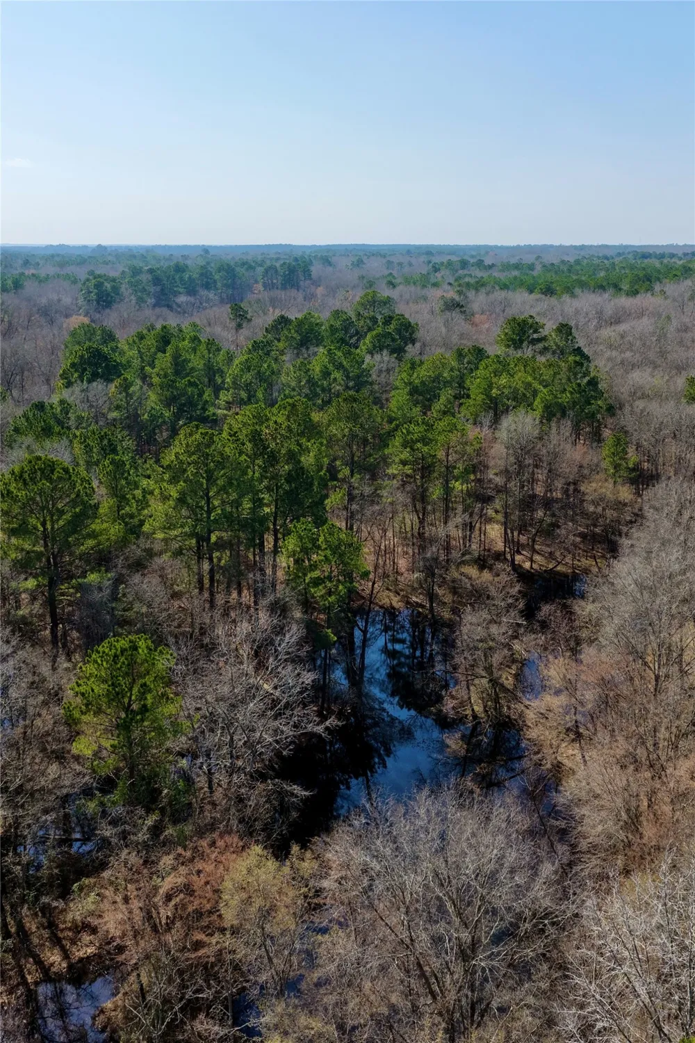 Stateline Road Texarkana, TX 75501