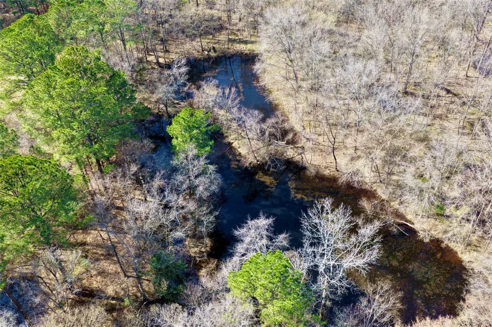 Stateline Road Texarkana, TX 75501
