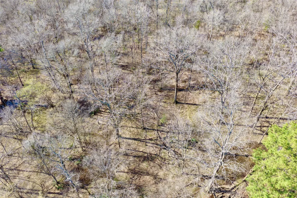 Stateline Road Texarkana, TX 75501