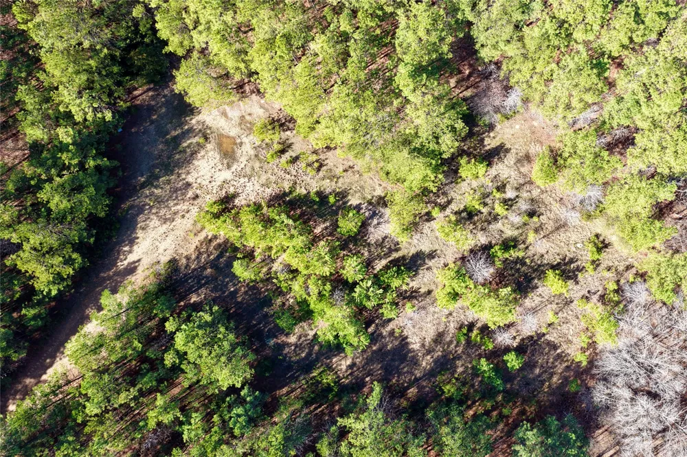 Stateline Road Texarkana, TX 75501