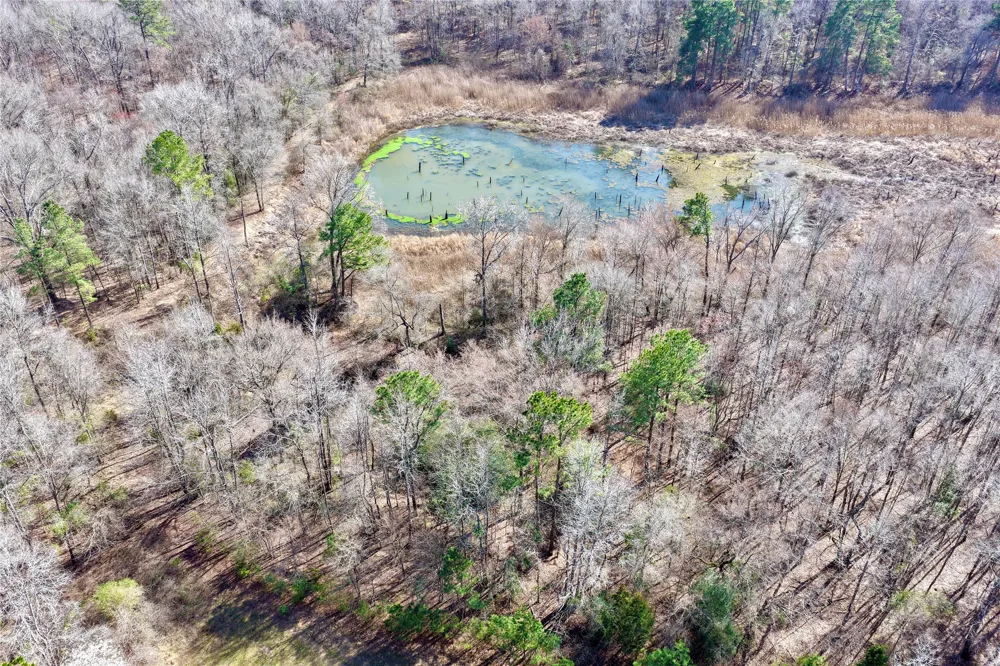 Stateline Road Texarkana, TX 75501