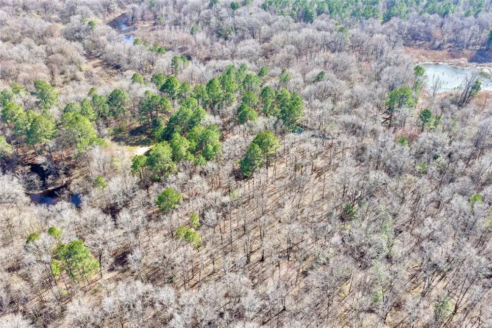 Stateline Road Texarkana, TX 75501