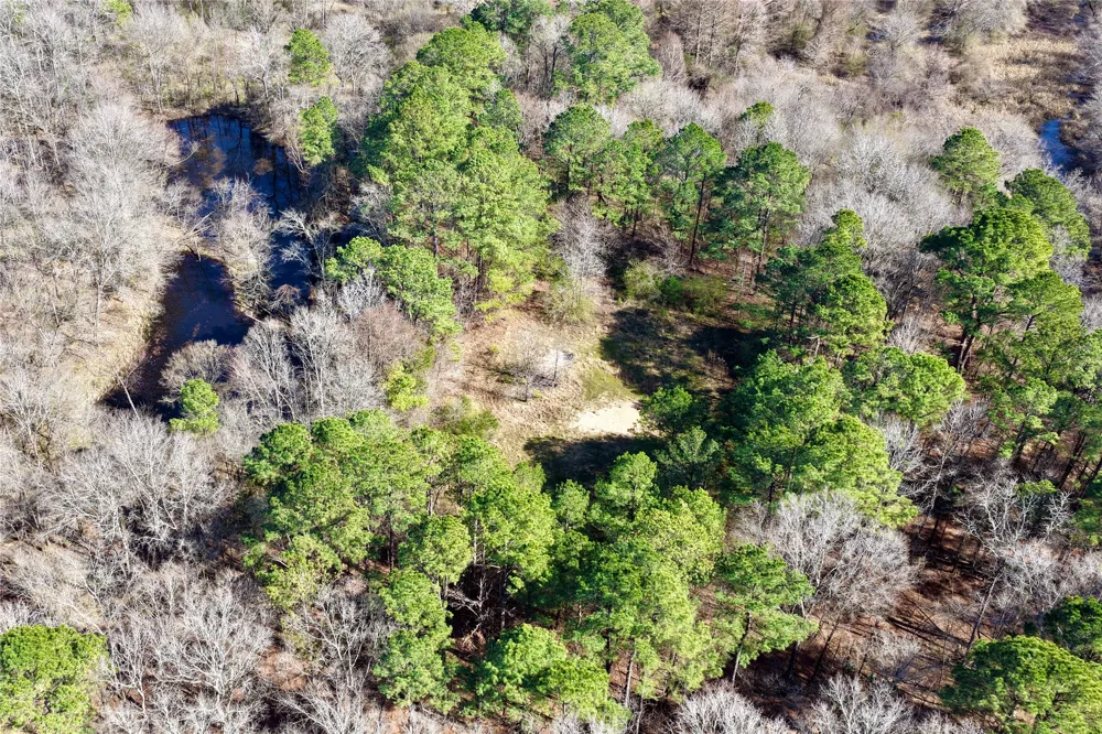 Stateline Road Texarkana, TX 75501