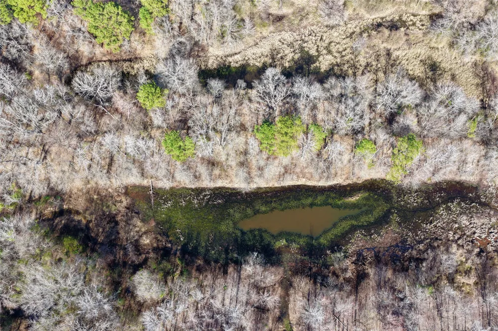 Stateline Road Texarkana, TX 75501