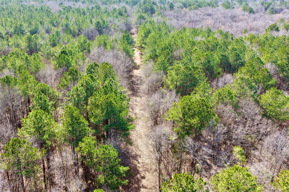 Stateline Road Texarkana, TX 75501