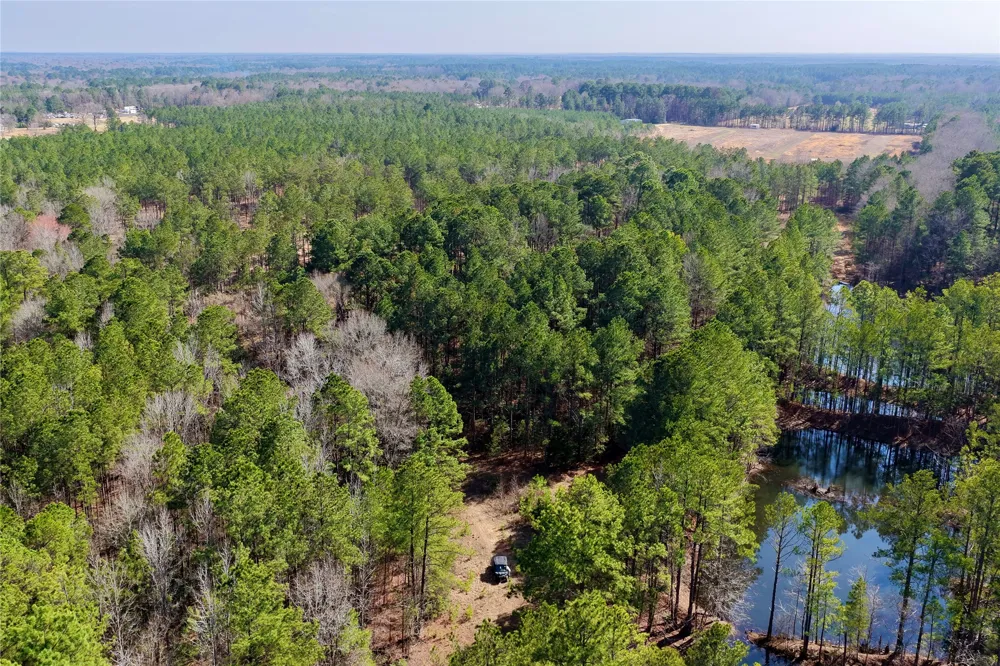 Stateline Road Texarkana, TX 75501