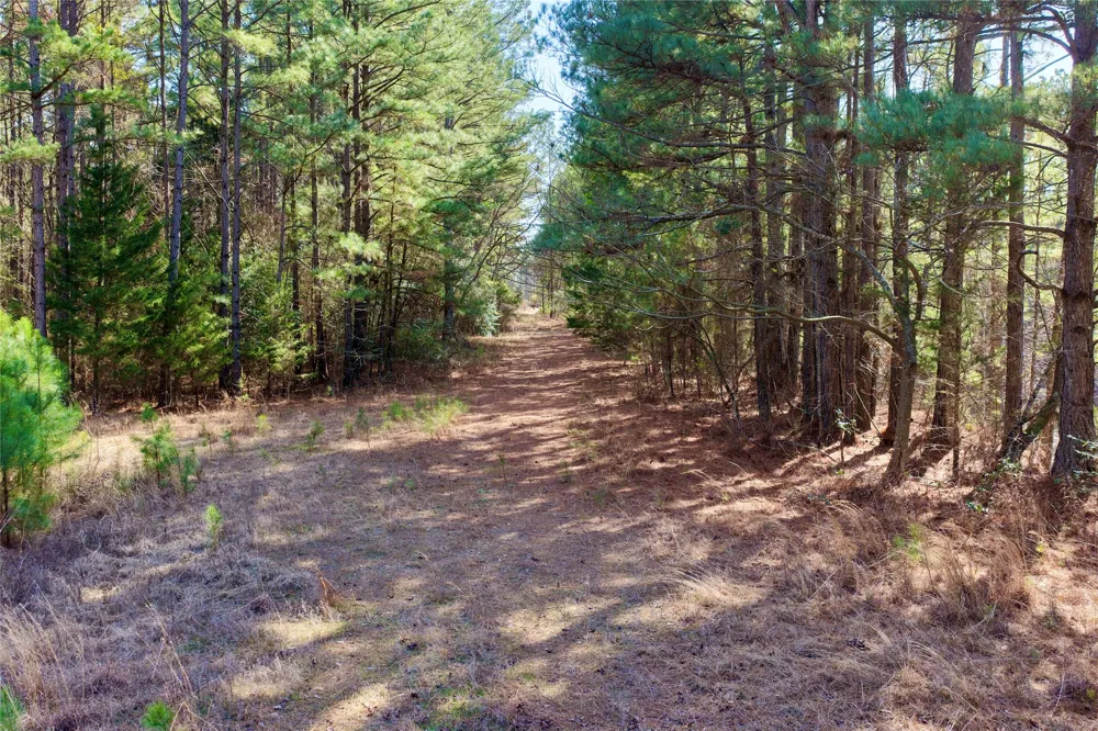 Stateline Road Texarkana, TX 75501