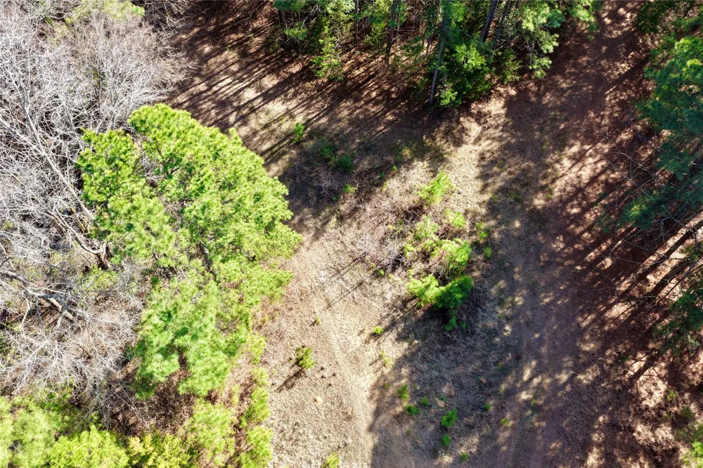 Stateline Road Texarkana, TX 75501
