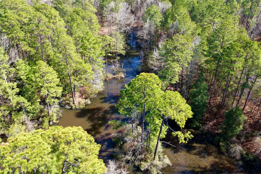 Stateline Road Texarkana, TX 75501