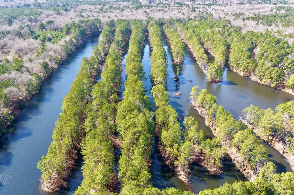 Stateline Road Texarkana, TX 75501