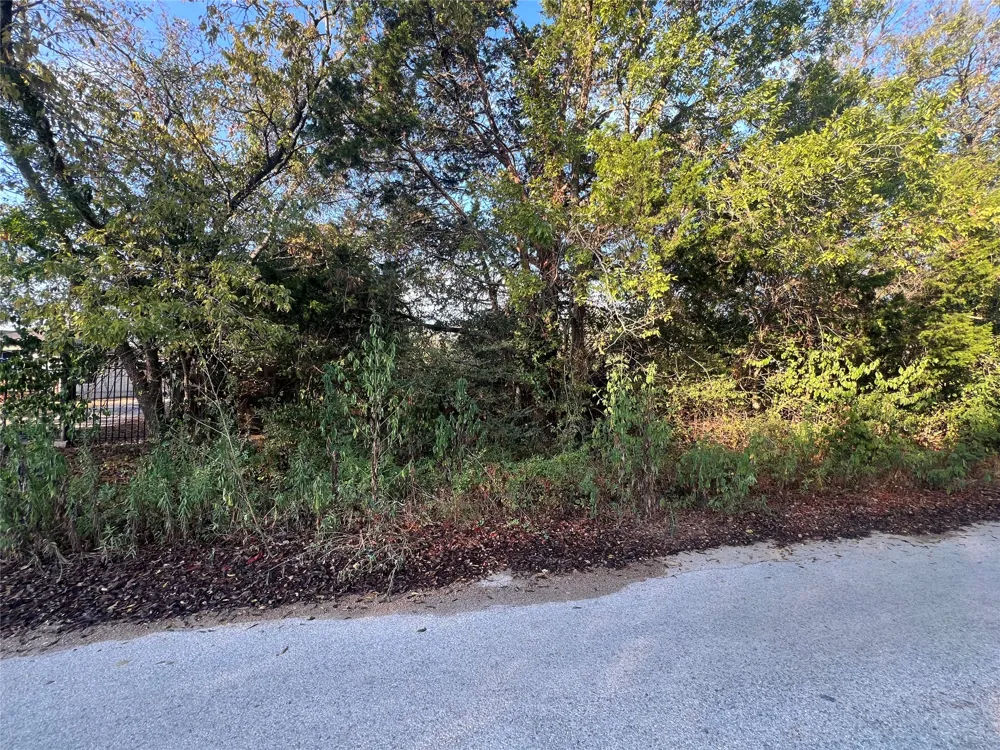 713 E 2nd Street Elgin, TX 78621