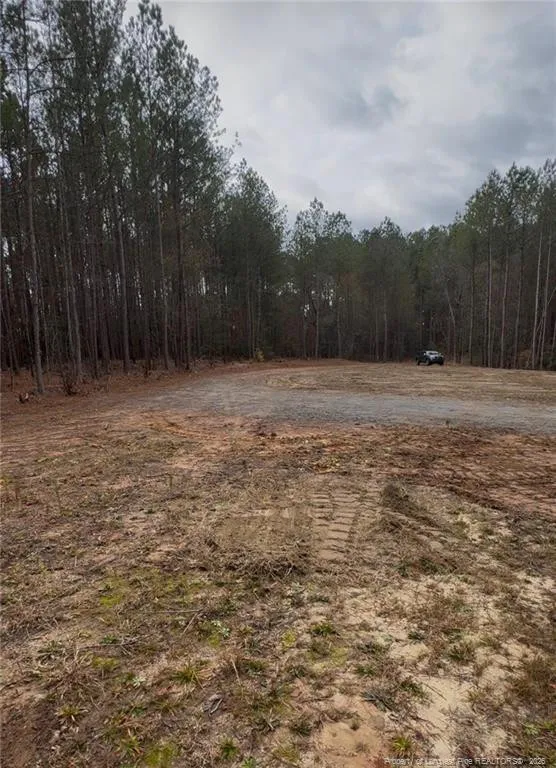 183 Thistlecone Lane Sanford, NC 27330