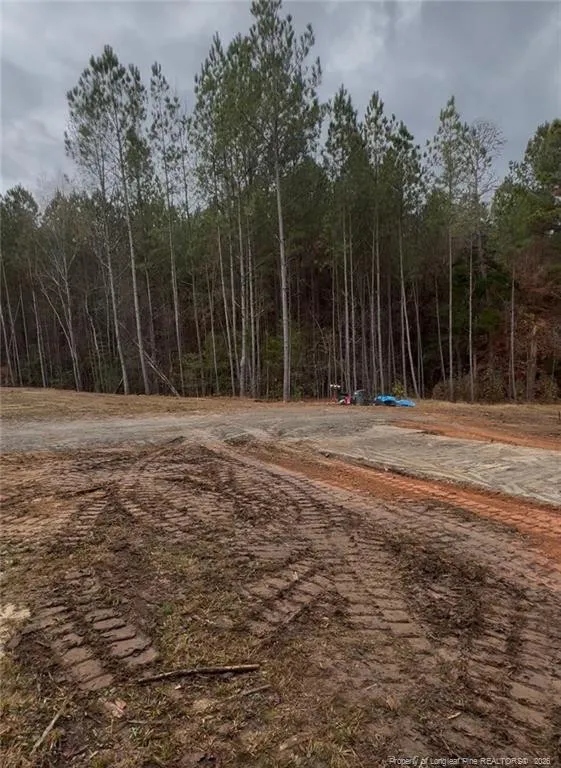 183 Thistlecone Lane Sanford, NC 27330