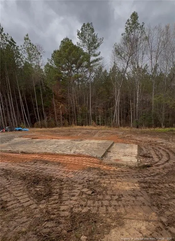 183 Thistlecone Lane Sanford, NC 27330