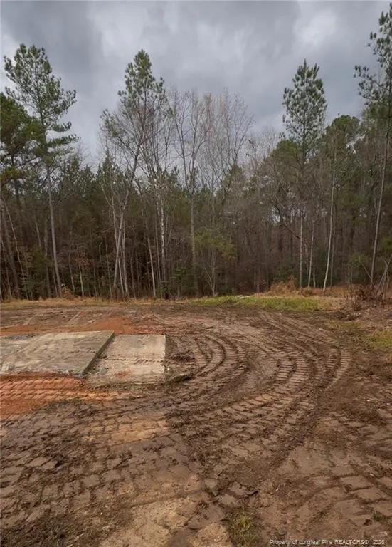 183 Thistlecone Lane Sanford, NC 27330