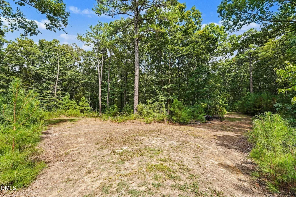 Tbd Reno Sharps Store Road Bear Creek, NC 27207