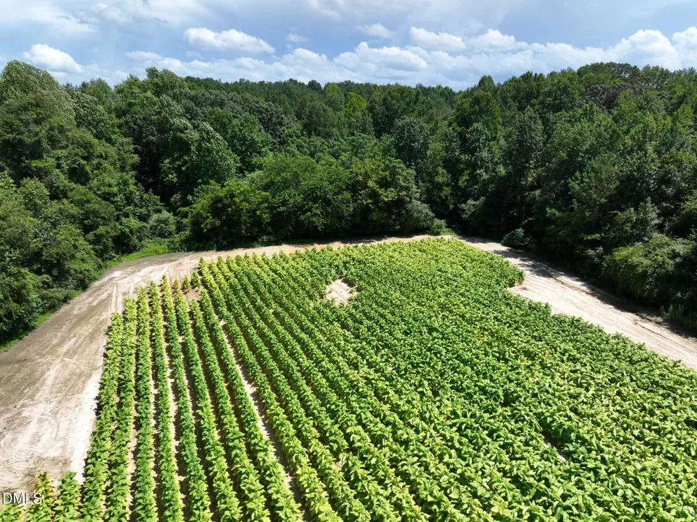 000 River Run Road Selma, NC 27576