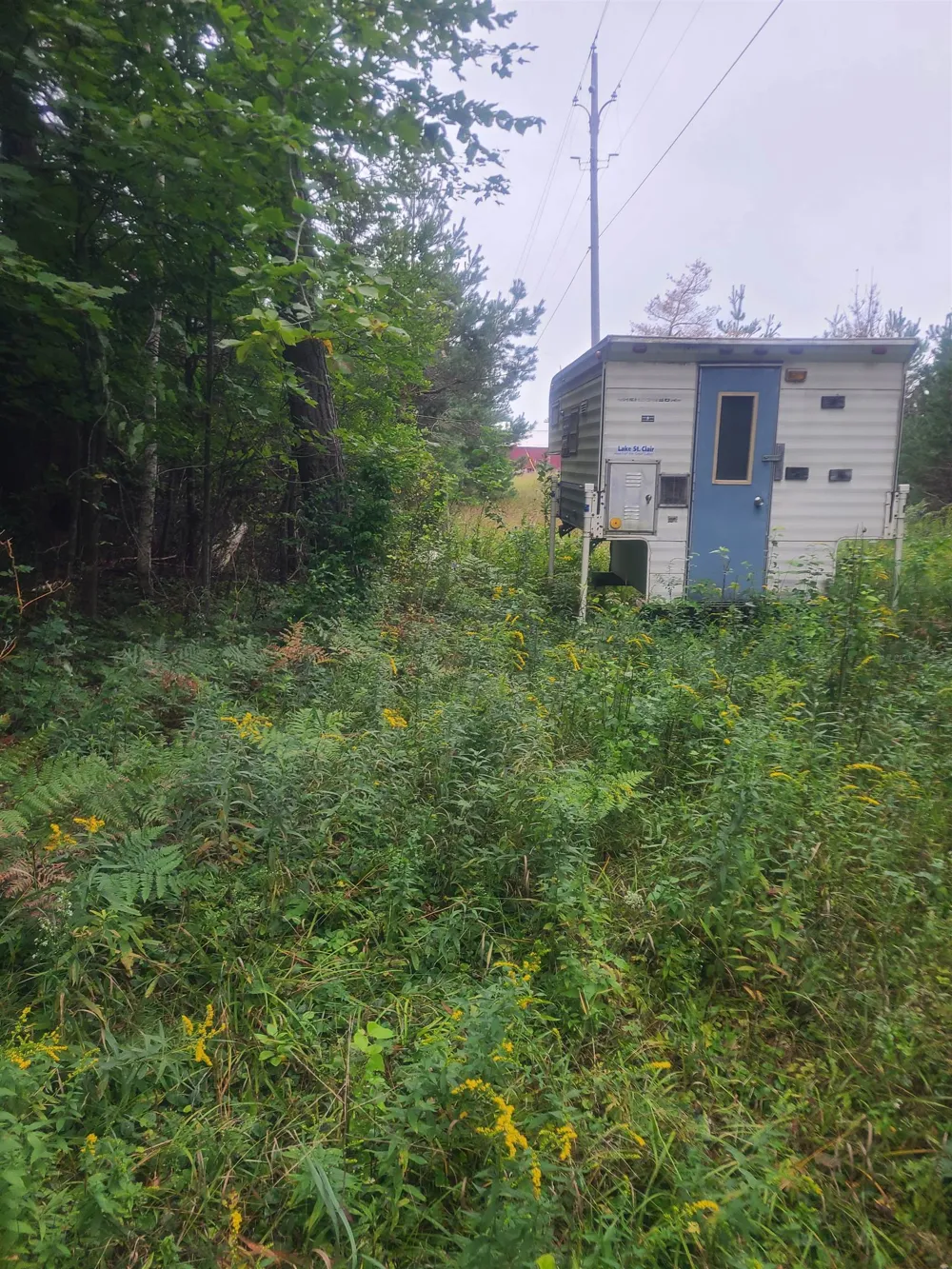 M-55 Reno Township, MI 48770