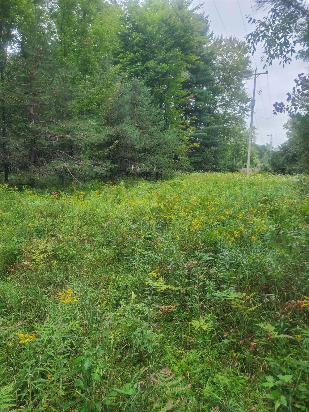 M-55 Reno Township, MI 48770