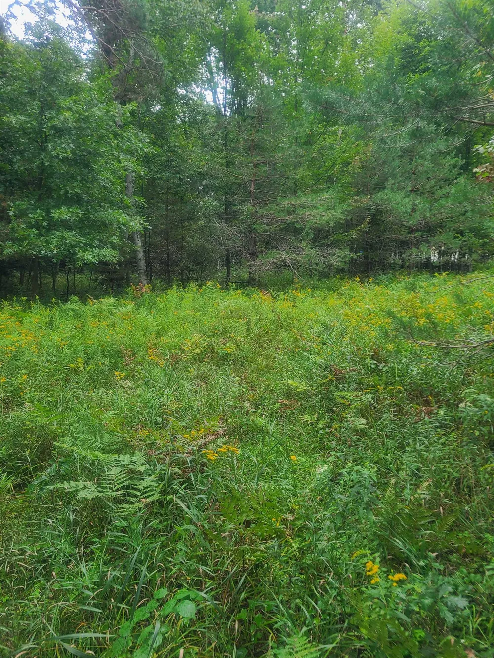 M-55 Reno Township, MI 48770