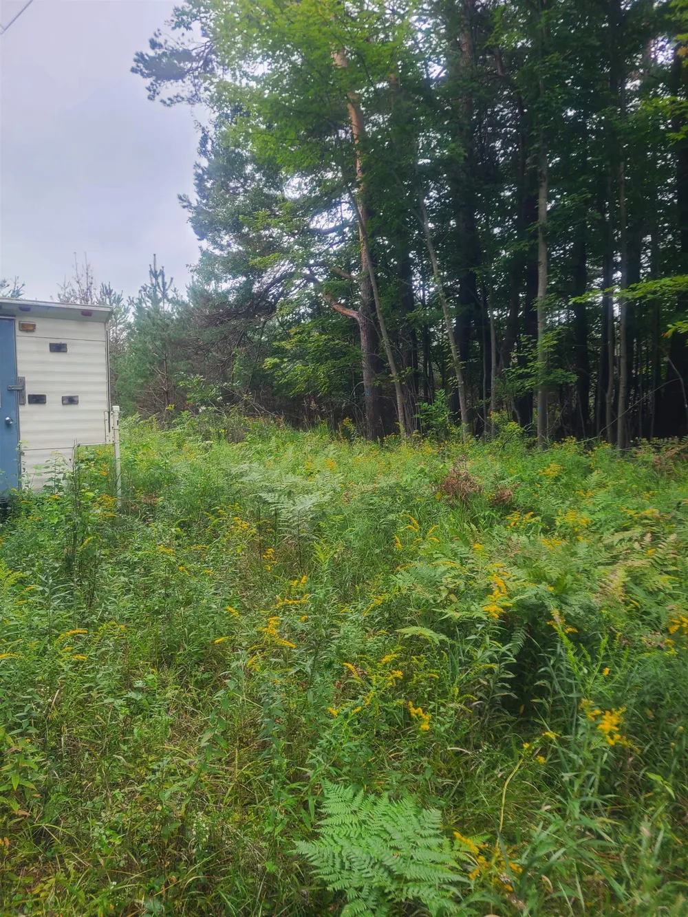 M-55 Reno Township, MI 48770