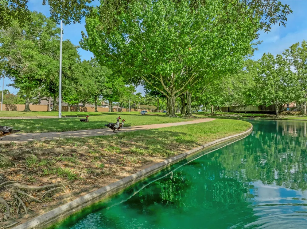 15734 Bending Birch Drive Cypress, TX 77433