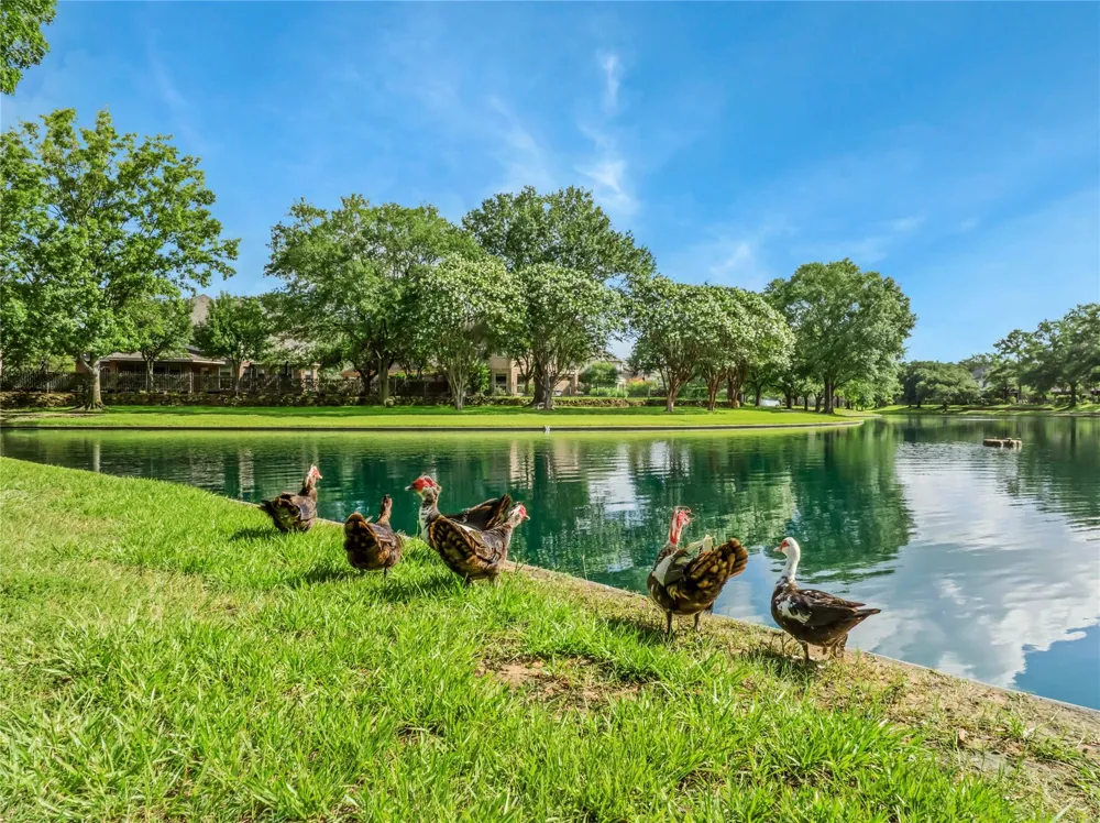 15734 Bending Birch Drive Cypress, TX 77433