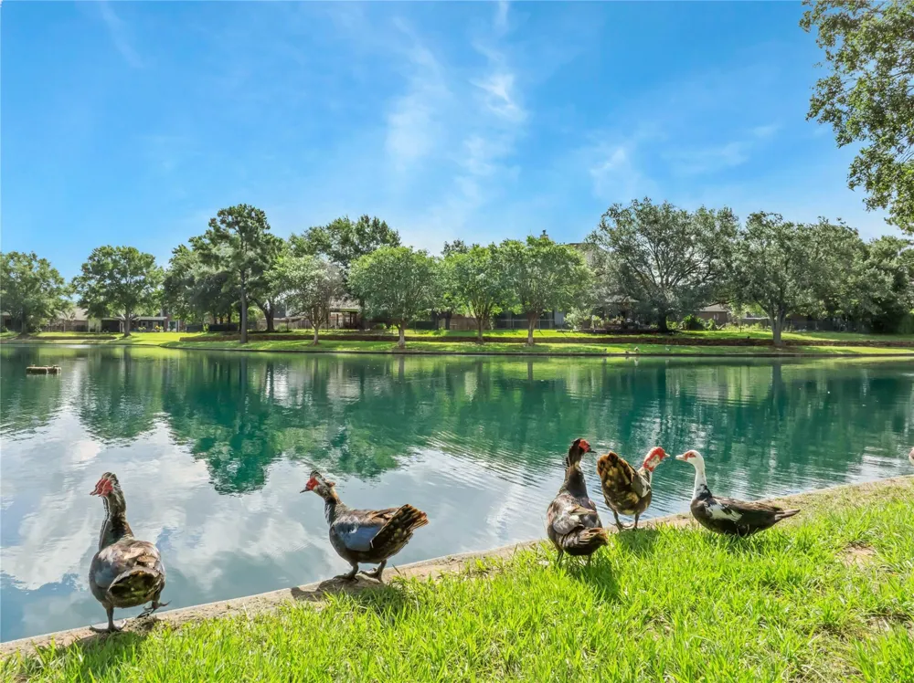 15734 Bending Birch Drive Cypress, TX 77433