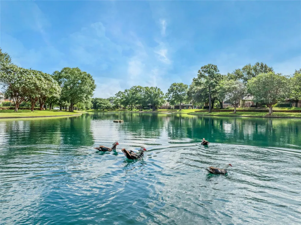15734 Bending Birch Drive Cypress, TX 77433