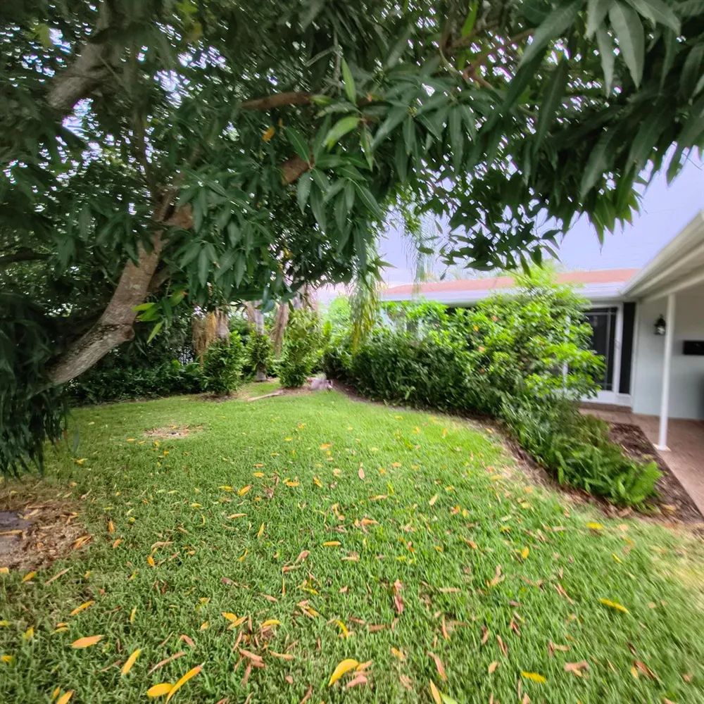 5631 NE 5th Terrace Oakland Park, FL 33334