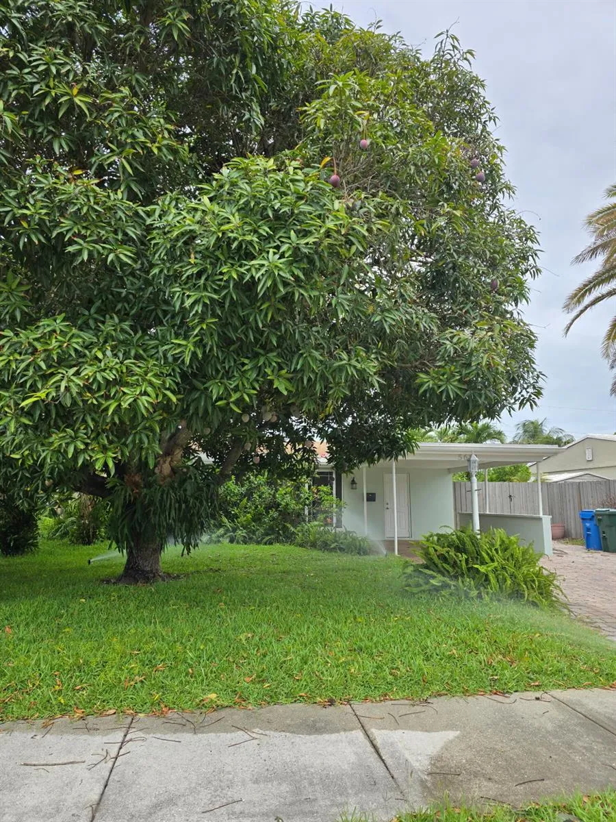 5631 NE 5th Terrace Oakland Park, FL 33334