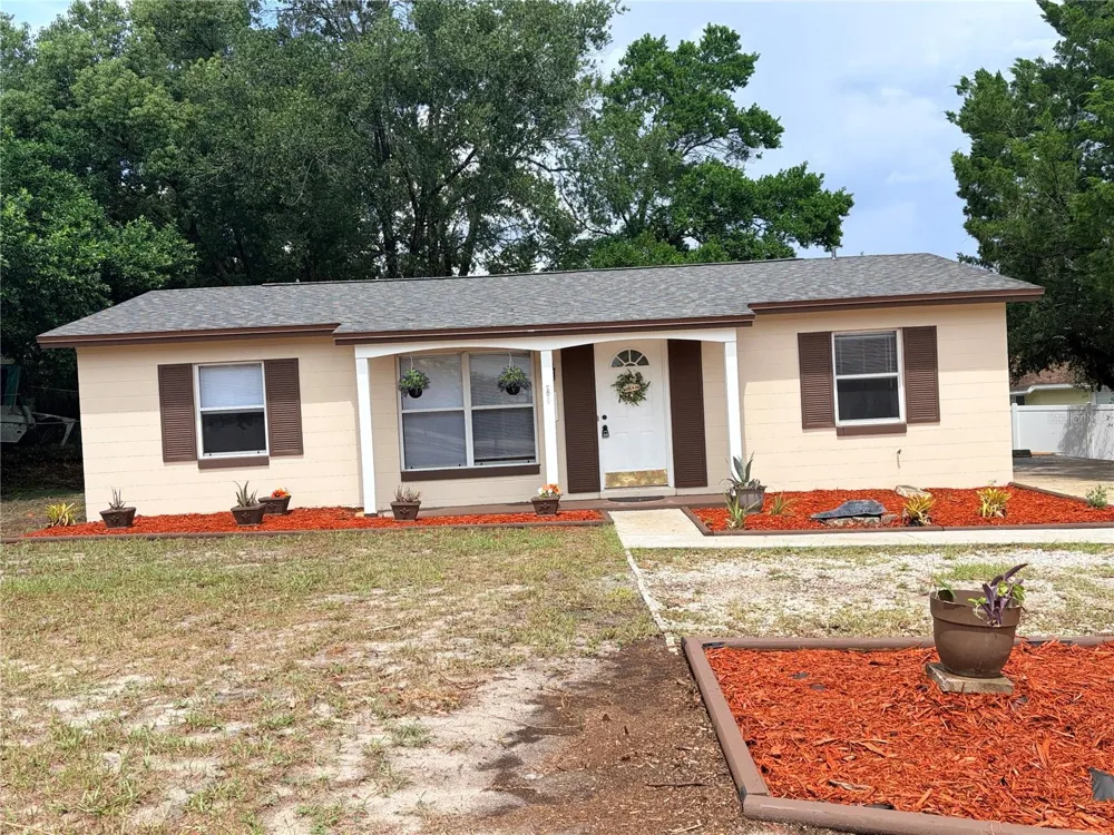 2942 GREYNOLDS STREET Deltona, FL 32738