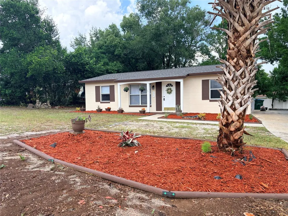 2942 GREYNOLDS STREET Deltona, FL 32738