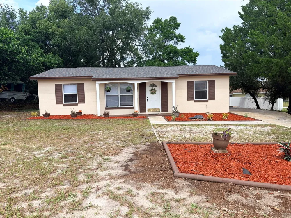 2942 GREYNOLDS STREET Deltona, FL 32738