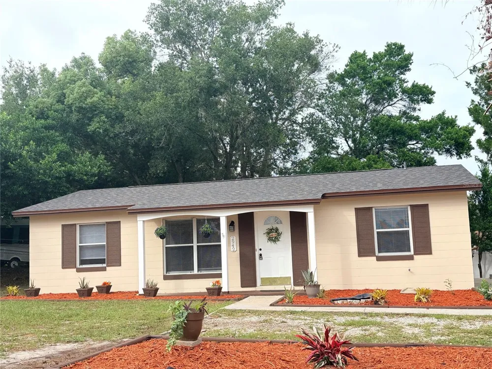 2942 GREYNOLDS STREET Deltona, FL 32738