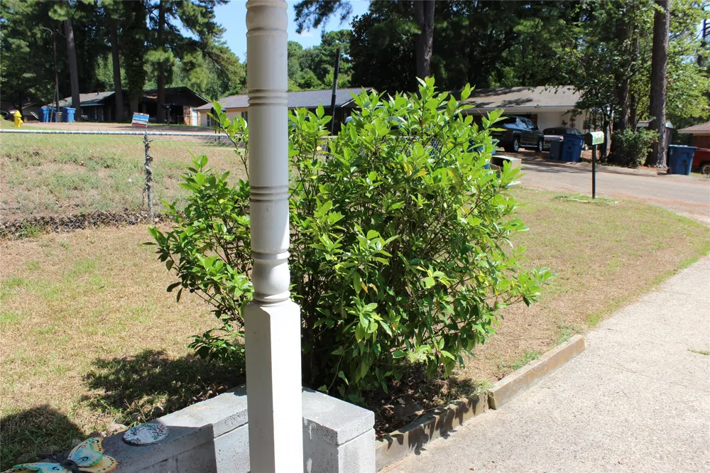 511 Babb Circle Minden, LA 71055