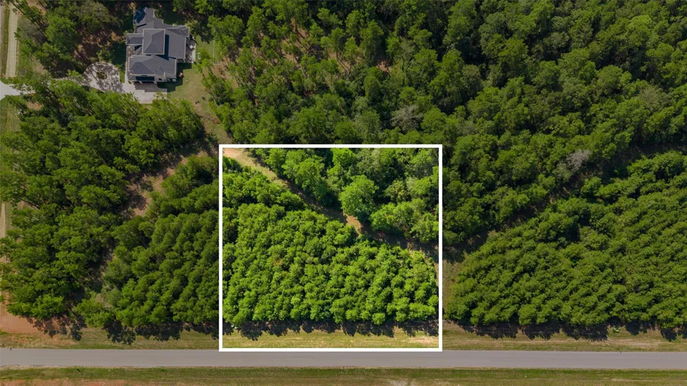 12920 Spacewood Pass Willis, TX 77378