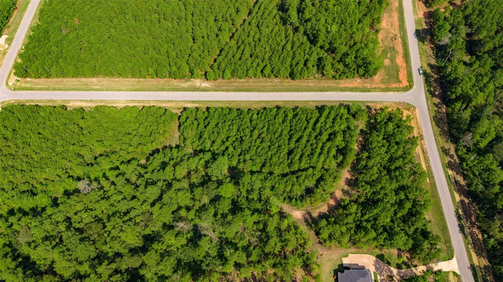 12920 Spacewood Pass Willis, TX 77378