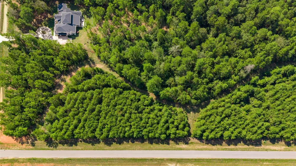 12920 Spacewood Pass Willis, TX 77378
