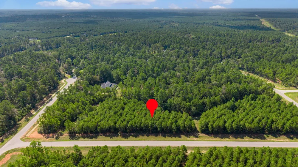 12920 Spacewood Pass Willis, TX 77378